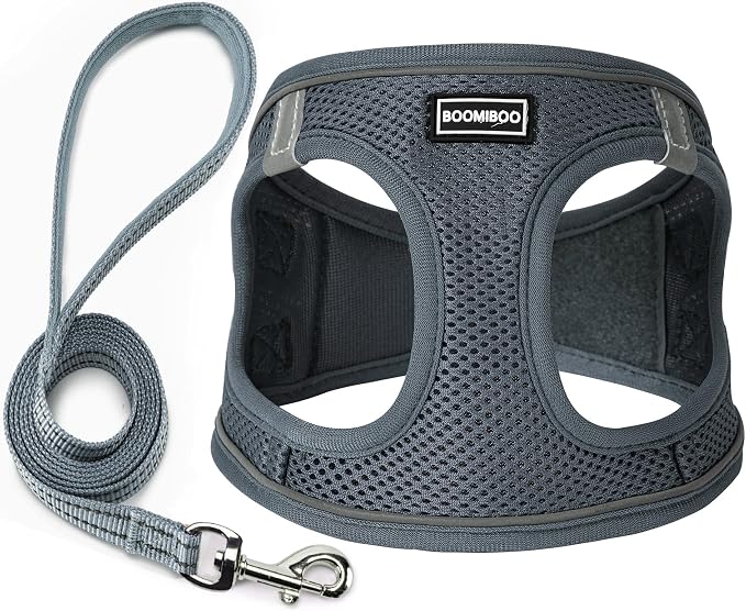 Dog Harness with Leash Set, Step-in Adjustable Puppy Pet Vest, Grey S | Lightweight Breathable Air Mesh, Night Safety Reflective, No Pull Puppy Vest Harnesses for Small Medium Large Dogs, Cats by BOOMIBOO