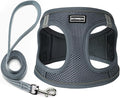 Dog Harness with Leash Set, Step-in Adjustable Puppy Pet Vest, Grey XS | Lightweight Breathable Air Mesh, Night Safety Reflective, No Pull Puppy Vest Harnesses for Small Medium Large Dogs, Cats by BOOMIBOO