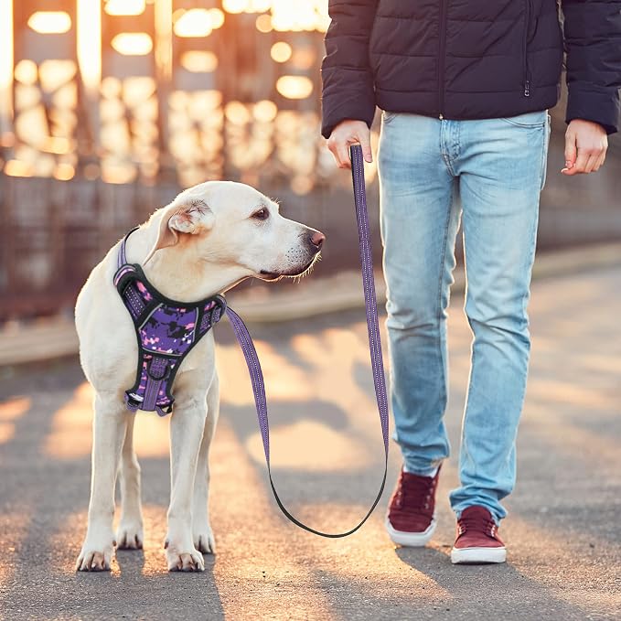 No Pull Dog Harness for Medium Dogs, Adjustable No Choke Pet Vest with Dog Leash Fit Smart Reflective Pet Walking Harness for Training Easy Control Soft Handle Purple Camo M - Image 5