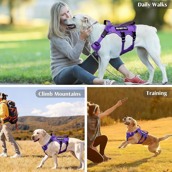 WINSEE Escape Proof Dog Harness with Double Handle+4 Removable Patches | Service Working Molle Harness with Double Handle for Large Dogs, Tactical Pet Reflective Vest for Walking Hiking Hunting - Image 9