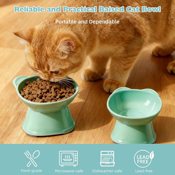 KSIA Klear Elevated Cat Bowls 2 Pack, Tilted Raised Cat Bowl for Food and Water, 4.72" Wide, Whisker Friendly Anti Vomit for Indoor Cats, Microwave and Dishwasher Safe, Green - Image 2