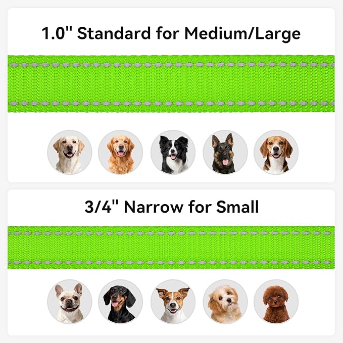 Joytale Reflective Dog Leash for Medium & Large Dogs, 4 FT x 1", Green | Heavy Duty Nylon Webbing, Padded Handle for Comfort, Visible at Night, for Walking & Training - Image 6