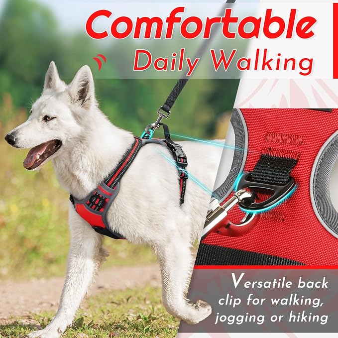 Eagloo Dog Harness for Large Dogs, No Pull Pet Vest with 2 Leash Clips | No Choke with Handle, Adjustable Comfort Fit, Reflective Strips, Easy Walking Control, Red, Large - Image 3
