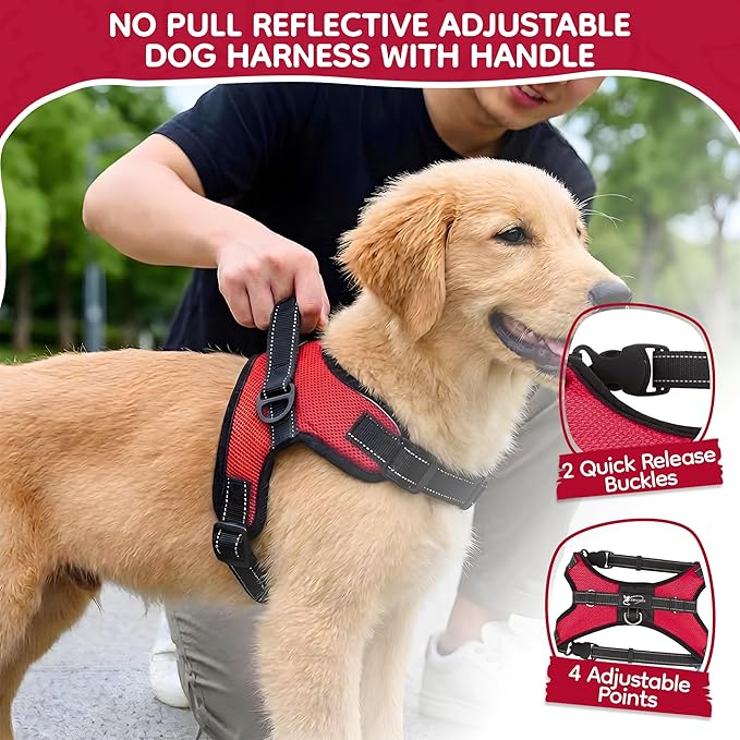 No Pull Reflective Adjustable Dog Harness with Handle- Comfortable Soft All Weather Mesh, Easy On Puppy Harness for Small Medium and Large Dogs (Red) Small - Image 2