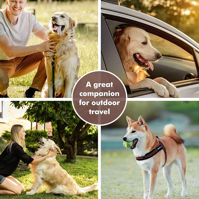 Collapsible Dog Bowls, Travel Food and Water Double Bowl for Cats & Dogs, 2-in-1 Portable BPA-Free Feeding Solution, Perfect for Traveling, Camping & Walking (L/ 100oz) - Image 8