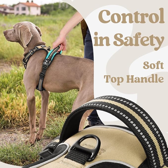 rabbitgoo Dog Harness Medium Sized, Updated Easy On & Off with 3 Buckles | No Pull No Choke, Walking with 2 Clips and Handle, Adjustable Soft Reflective, Beige, Medium - Image 5
