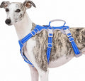Escape Proof Dog Harness, No Pull Reflective Harness with Lift Handle,Adjustable Pet Vest with Front and Back Leash Clips for Small Medium Large Dogs Walking Hiking Training (Sea Blue,L) by Huntboo