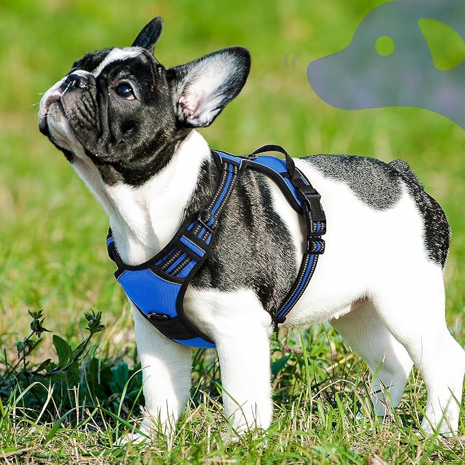 Eagloo Dog Harness for Small Dogs, No Pull Pet Vest with 2 Leash Clips | No Choke with Handle, Adjustable Comfort Fit, Reflective Strips, Easy Walking Control, Blue, Small - Image 9