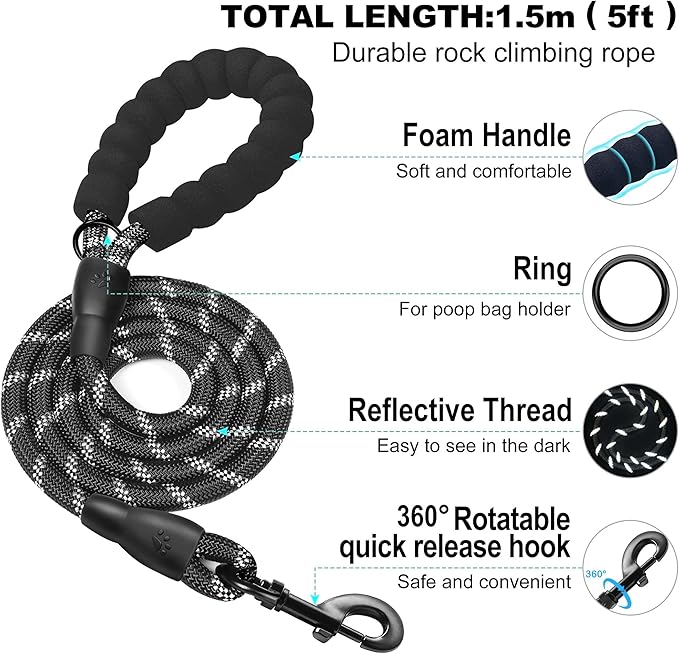 haapaw Dog Harness with Leash Set, No Pull Adjustable Reflective Step-in Puppy Harness with Thickened Padded Vest for Extra-Small/Small Medium Dogs - Image 3