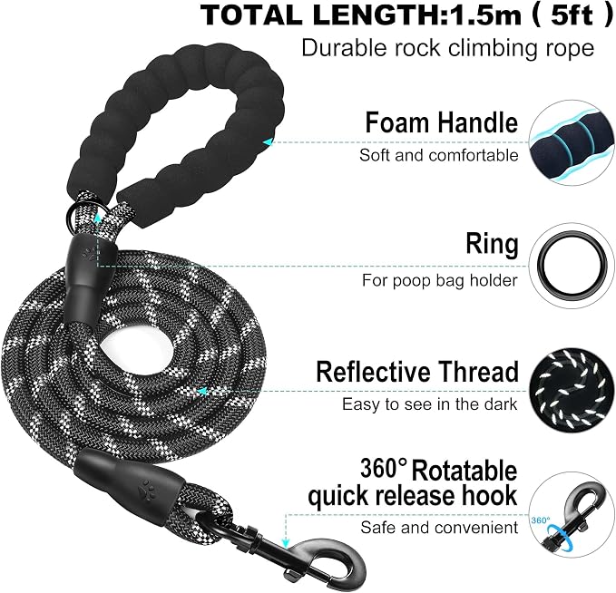 haapaw Dog Harness with Leash Set, No Pull Adjustable Reflective Step-in Puppy Harness with Thickened Padded Vest for Extra-Small/Small Medium Dogs - Image 3