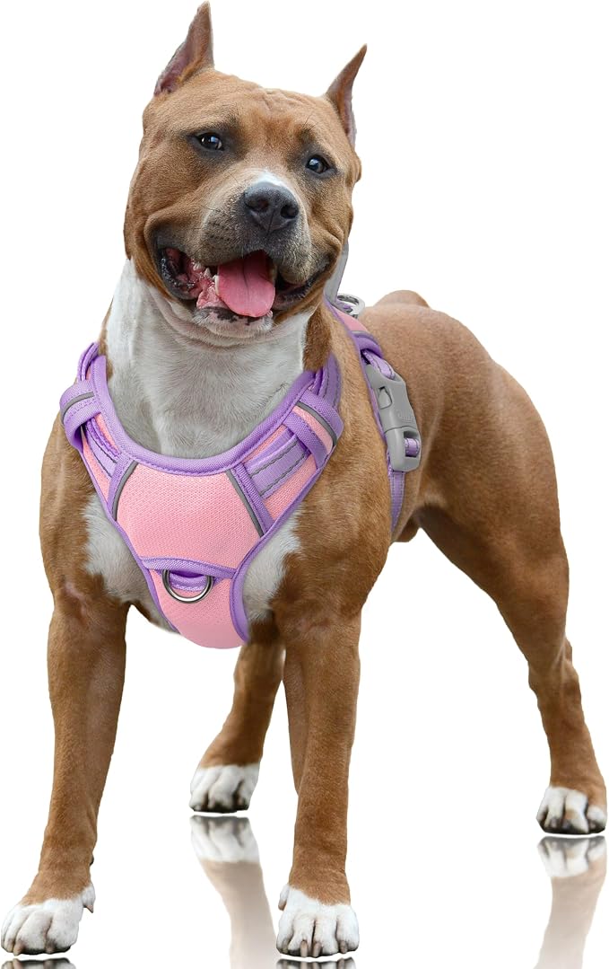 BARKBAY No Pull Dog Harness Large Reflective Dog Harness with Front Clip and Easy Control Handle for Walking Training Running with ID tag Pocket(Baby Pink & Violet Purple,L) by BARKBAY