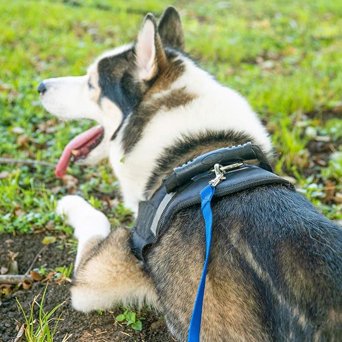 Hi Kiss Dog/Puppy Obedience Recall Training Agility Lead - 15ft 20ft 30ft 50ft 100ft Training Leash - Great for Training, Play, Camping, or Backyard - Pink 100ft - Image 5
