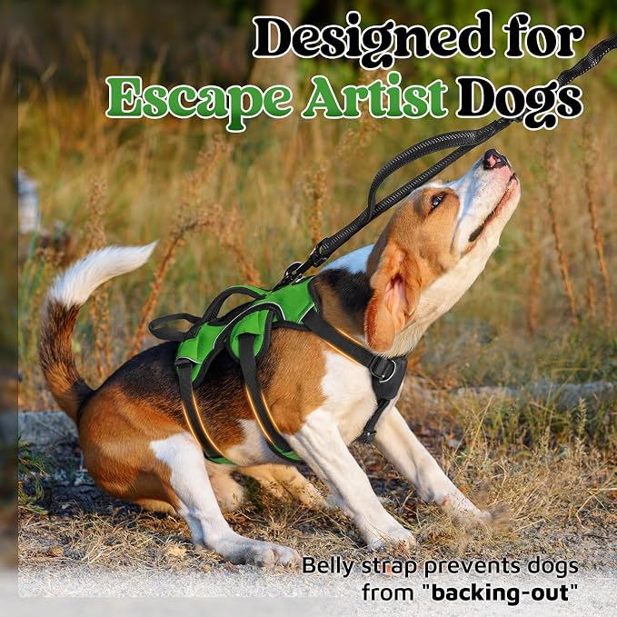 rabbitgoo Escape Proof Dog Harness for Small, No Pull with Lift Handle | No Escape, Full Soft Padded, Reflective Adjustable Vest, Leash Clip for Walking Hiking Training, Green, Small - Image 2