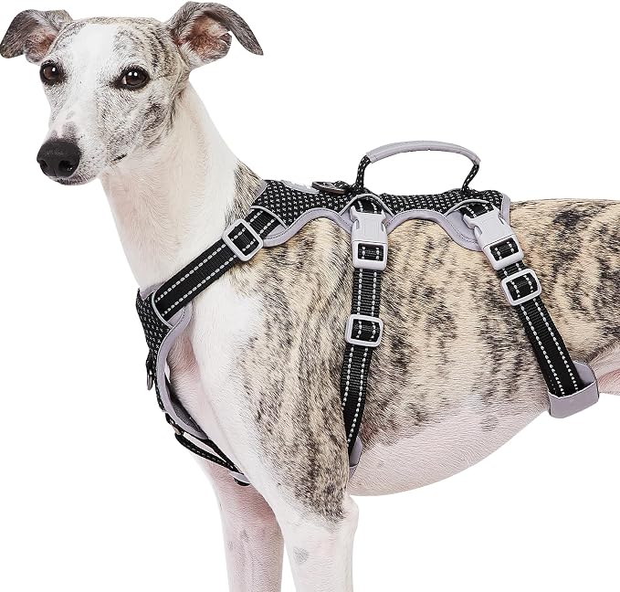 Escape Proof Dog Harness, No Pull Reflective Harness with Lift Handle, Adjustable Pet Vest with Front and Back Leash Clips for Small Medium Large Dogs Walking Hiking Training (Black,XL) by Huntboo
