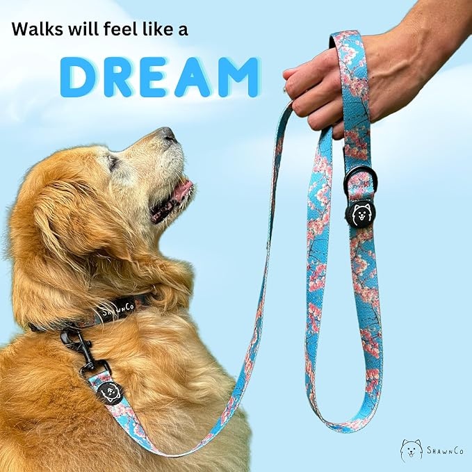 ShawnCo Dream Walk Dog Leash (Moonglow,Small) | Soft Neoprene Handle, Premium, Durable, Nylon Pet Leash for Small, Medium and Large Dogs, For Everyday Walks and Training - Image 6