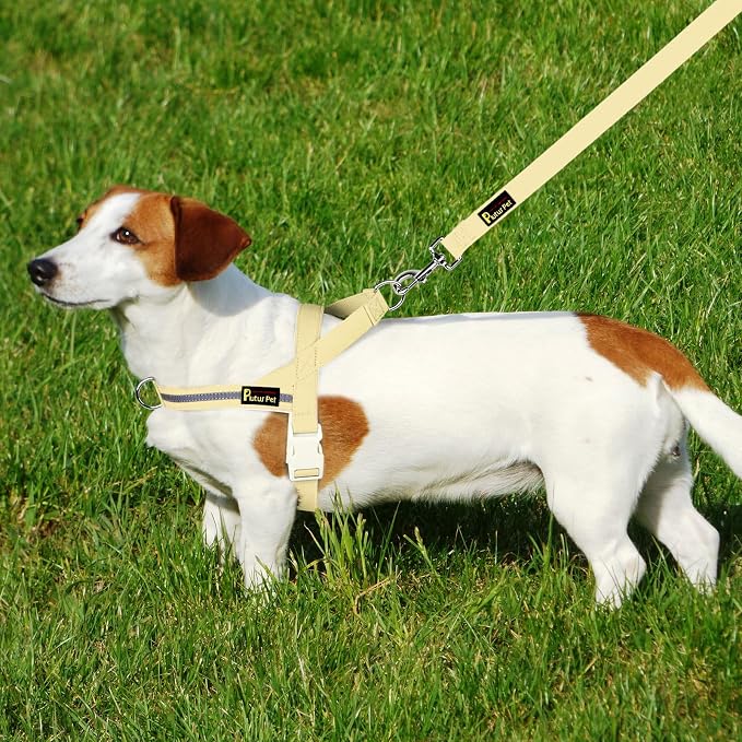Plutus Pet Cotton Dog Harness and Leash Set, Reflective and Soft Padded, Quick Fit Vest Harness, for Small, Medium and Large Dogs, Light Yellow, XXS - Image 6