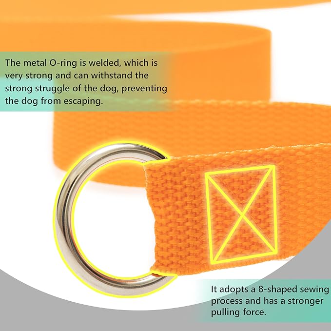 Slip Lead Dog Leash, 12 Pack 6 FT Pet Bulk Leashes with O-Ring | Short Pet Leads for Walking Training Grooming Shelter Rescue Small Medium and Large Dogs - Image 3