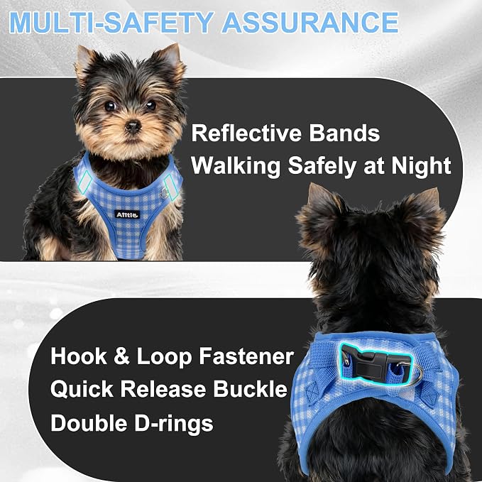 AIITLE Step in Medium Dog Harness and Leash Set, Puppy Pet Vest, Blue L | Breathable Mesh, Adjustable Fit, No-Pull Reflective Design, Escape Proof, for Small-Medium Dogs, Outdoor Walking, Running - Image 8