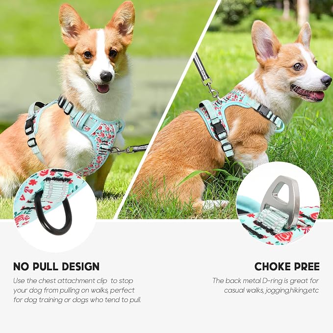 Timos Dog Harness, Front Clip No Pull Medium Sized with Handle, Cyan, M | No Choke, Adjustable Reflective Soft Padded, Quick Release 3 Buckles, Easy On & Off, Front & Back 2 Clips for Outdoor Walking - Image 4