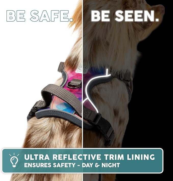 Embark No Pull Dog Harness, Reflective Adjustable Training Vest, No Choke | Adjustable straps fit all dog breeds with sturdy hooks; 360° reflective trim, soft padded Harness Design for All Dogs - Image 8