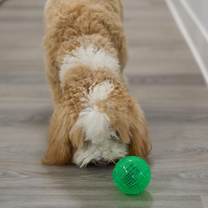 SPOT Dura-Brite Treat Ball - Treat Dispensing Dog Toy Made with Durable TPR Rubber, Interactive Slow Feeder Puzzle Ball, Prevents Boredom and Makes Mealtime Fun - 3in, Assorted Colors - Image 11