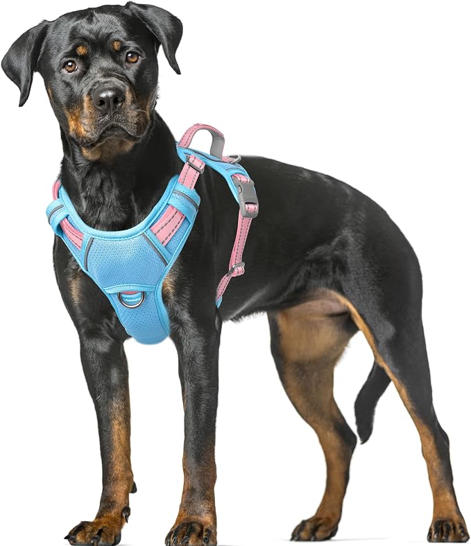 BARKBAY No Pull Dog Harness Large Reflective Dog Harness with Front Clip and Easy Control Handle for Walking Training Running with ID tag Pocket(Baby Blue & Baby Pink,XL) by BARKBAY