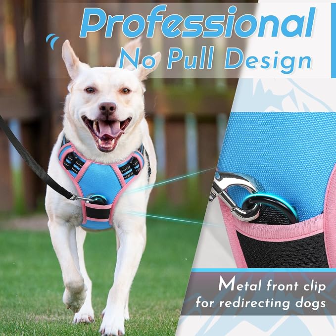 Eagloo Dog Harness for Medium Sized Dogs, No Pull Vest with 2 Leash Clips | No Choke with Handle, Adjustable Comfort Fit, Reflective Strips, Easy Walking Control, Pink & Sky Blue, Medium - Image 2