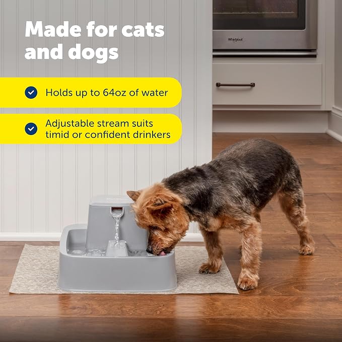 PetSafe Oasys Pet Fountain, 1/2 Gallon, Cats & Small Dogs, Extra Filters | Adjustable Flow Control, Whisker-Friendly Tray, Extra 12-Pack Replaceable Carbon & 2-Pack Foam Filters Included - Image 7