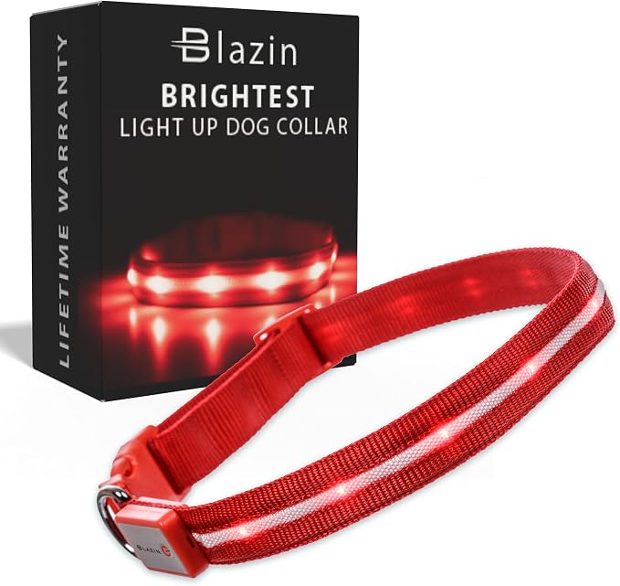 Blazin Light Up Dog Collar - The Original LED Dog Collar - USB Rechargeable - Waterproof - 1,000 Feet of Visibility - Dog Collar Light for Small, Medium, Large Dogs - USA Brand by Blazin