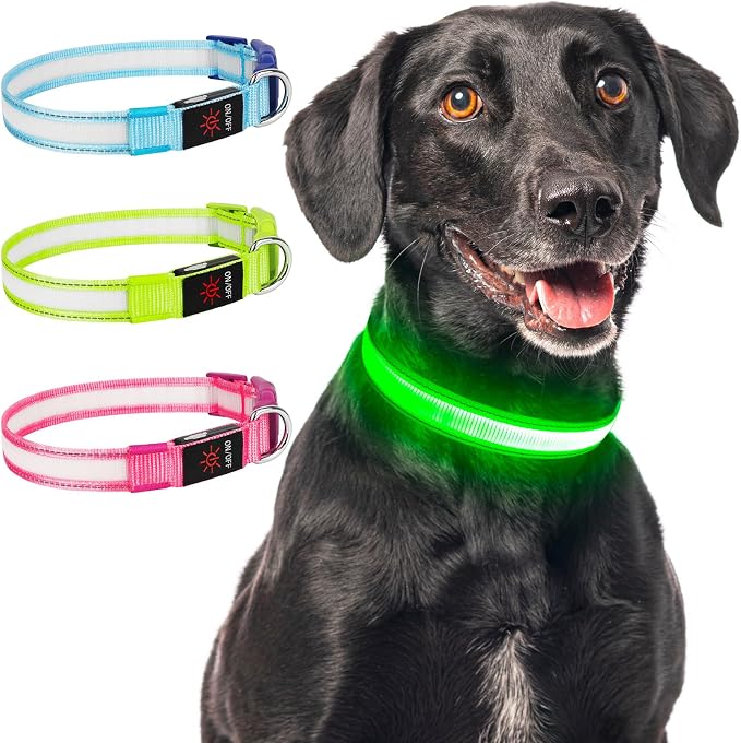 LED Light Up Dog Collar for Night Safety Walks, Green, L | USB rechargeable, waterproof & pet-safe, 3 lighting modes, long-lasting glow, adjustable S/M/L, soft comfy daily walk fit - Image 8