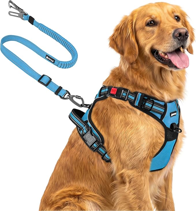 Joytale No Pull Dog Harness & Seat Belt, Easy On 3-Buckle, XL, Sky Blue | Front Clip Reduces Pulling, Escape-Resistant Design, Adjustable Fit, Soft Padding for Comfort, Secure Tether for Safer Travel by Joytale
