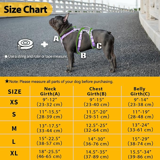 Escape Proof Dog Harness,Secure Dog Harness No Escape,Fully Reflective Harness with Handle,Breathable,Durable,Adjustable Vest for Small Dogs Walking,Training & Running Gear(Lavender Purple,XS) - Image 6