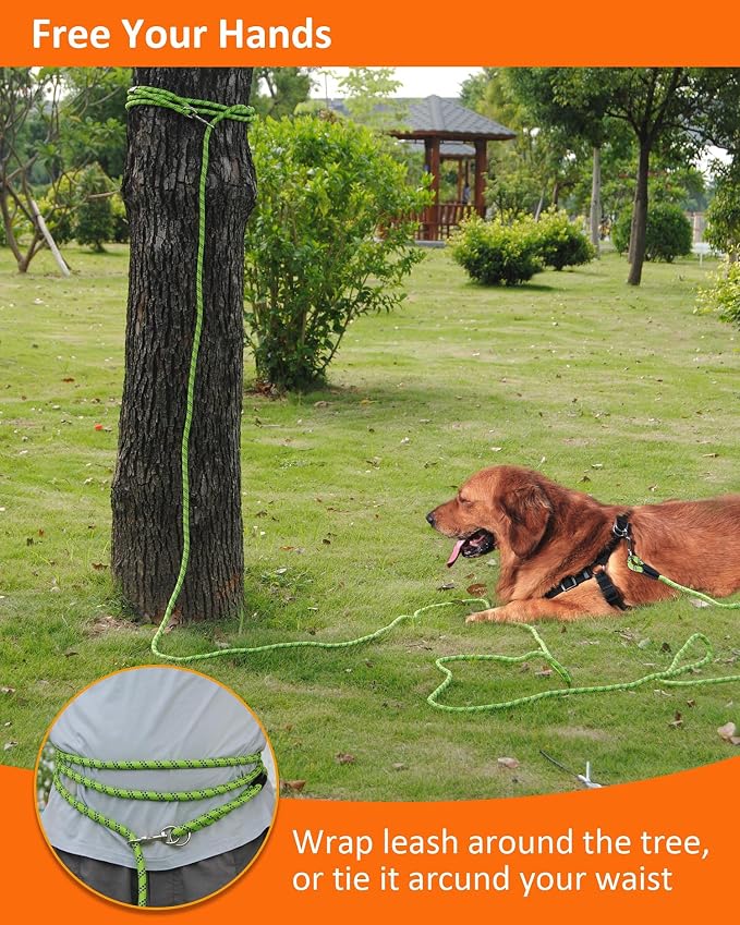 Long Dog Leash for Training - 10FT/16FT/30FT/50FT/100FT, Reflective, Heavy Duty for Large, Medium, Small Dogs - Walking, Playing, Camping, Yard - Image 6