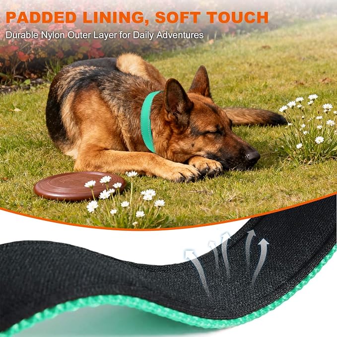Taglory Reflective Extra Large Dog Collar, Comfortable for Safe Night Walks | Soft Neck Cushioning, Adjustable 18-28 in, Sturdy Webbing Withstands Strong Pullers, Zinc Alloy D-Ring for Leash and ID Tags - Image 4