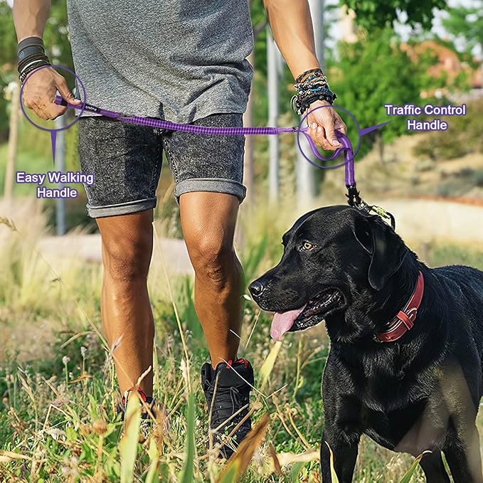 Raipult Tactical Shock Absorbing Bungee Dog Leash Heavy Duty, 4-6ft, Purple | for Large Dogs That Pull, Quick-Release Frog Clip, Dual Handles for Close Control, Car Seat Belt Clip, Reflective at Night - Image 7