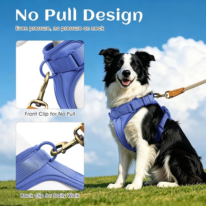 Wisedog No Pull Dog Harness, Blue, X-Small | Lightweight, Adjustable Breathable Pet Vest, Soft & Comfortable Cushion, Small Medium Large Dogs - Image 4