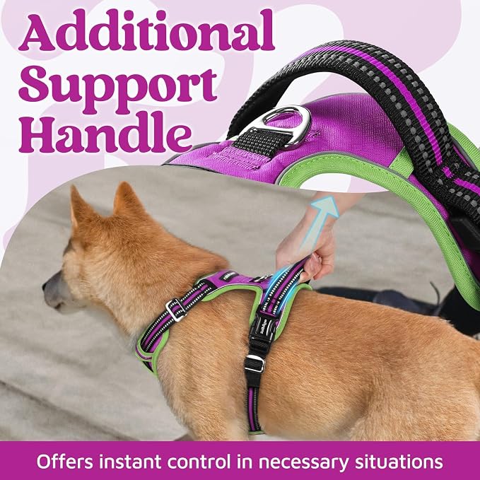 rabbitgoo Dog Harness Medium Sized, No Pull 3 Buckles Easy On & Off | Soft Padded, Walking with Control Handle, Adjustable and Reflective, Purple & Light Green, Medium - Image 4