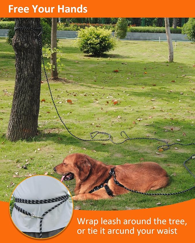 Long Dog Leash for Dog Training 10FT 16FT/30FT/50FT/100FT, Reflective Threads Rope Dog Leash, Heavy Duty Dog Lead for Large Medium Small Dogs Walking Playing, Camping, or Yard - Image 6