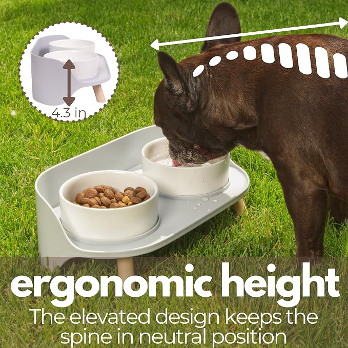 A4DOG Ceramic Dog Bowls with Stand - Elevated Dog Water and Food Bowl Set 13.5oz Cat & Dog Feeding Station Spill Proof Splash Proof Raised Pet Food Bowls for Dogs, No Mess Pet Feeder - Gray - Image 6