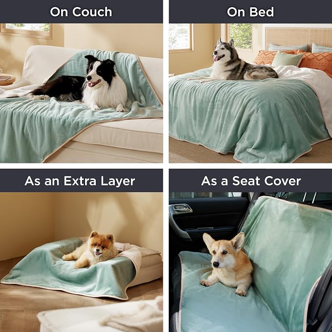 Bedsure Waterproof Dog Blankets for Large Dogs Sherpa Fleece Throw, 50X60 | Washable Soft Plush Pet Cat Blanket for Couch Cover, Reversible Cozy Calming Protector Warm for Senior Dogs,Light Green - Image 5