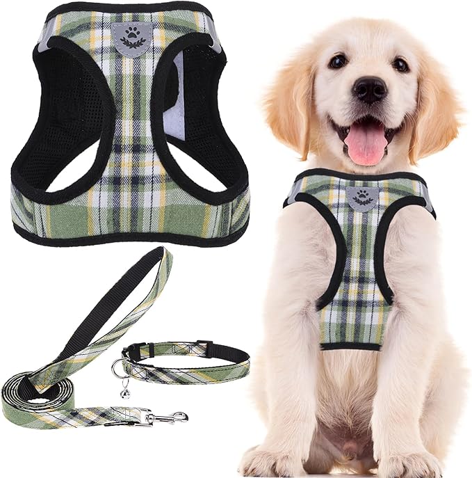 PUPTECK Dog Harness, Collar and Leash Set No Pull for Small Medium Sized | Plaid Puppy Step-in Escape Proof Reflective No Choke Pet Cat Adjustable Walking Vest by PUPTECK