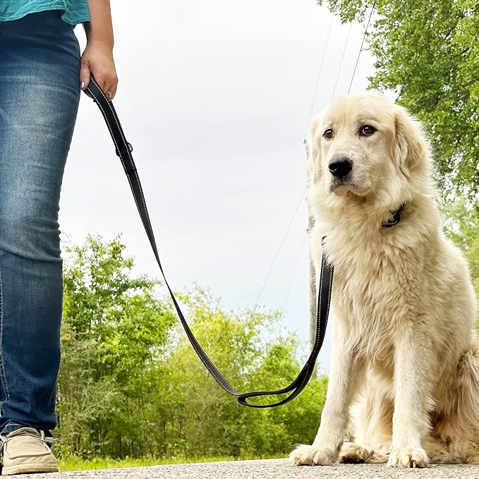 Joytale Dog Leash for Large Dogs that Pull, Double Handle, 6FT, Black | Traffic Handle for Control, Padded Handle Reduces Hand Strain, Reflective Stitching for Night Safety, Strong Nylon Webbing - Image 7