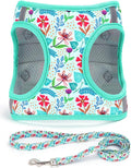 Step in Dog Harness Leash Set- All Weather Reflective No-Pull Floral Pattern Padded Mesh Vest Harness for Cats Puppy Extra-Small Small Medium Large Dogs - Verdure Flower - S by MOONPET