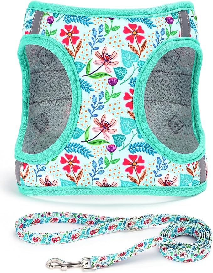 Step in Dog Harness Leash Set- All Weather Reflective No-Pull Floral Pattern Padded Mesh Vest Harness for Cats Puppy Extra-Small Small Medium Large Dogs - Verdure Flower - S by MOONPET