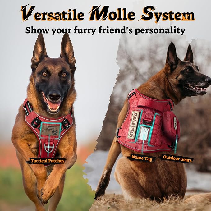 rabbitgoo Tactical Dog Harness for Large Dogs, No Pull Service Pet Vest | Military Molle System & Easy Control Handle, Adjustable and Reflective for Walking and Training, Red, Large - Image 8