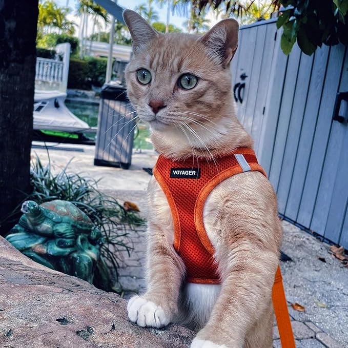 Voyager Step-in Air Cat Harness & Leash Set - Orange, XS | 13.5 - 15" in Chest, Reflective Bands, All Weather Breathable Air Mesh, Cats Compatible, Fast Drying - Image 6