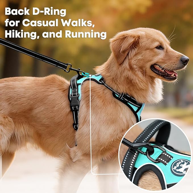 PoyPet No Pull Dog Harness Small, Reflective Vest with Front Clip & Handle | Easy On/Off, No Choke, Adjustable, 2 Leash D-rings, Soft Padded, Breathable, Oxford, for Walking Training, XS, Mint Blue - Image 3