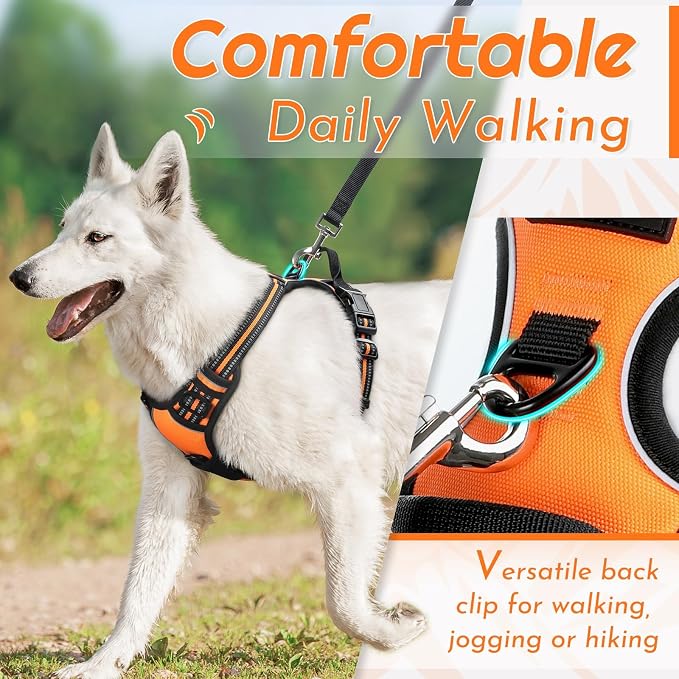 Eagloo Dog Harness for Medium Sized Dogs, No Pull Vest with 2 Leash Clips | No Choke with Handle, Adjustable Comfort Fit, Reflective Strips, Easy Walking Control, Orange, Medium - Image 4