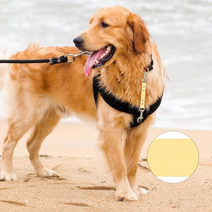 PetBonus Dog Collar Safety Clip, Waterproof Backup Safety Strap | Prong Collar to Harness Connector, Escape Proof, Odor Proof, Easy to Clean, Double Ended Clasp for Training Walking, Sand - Image 3