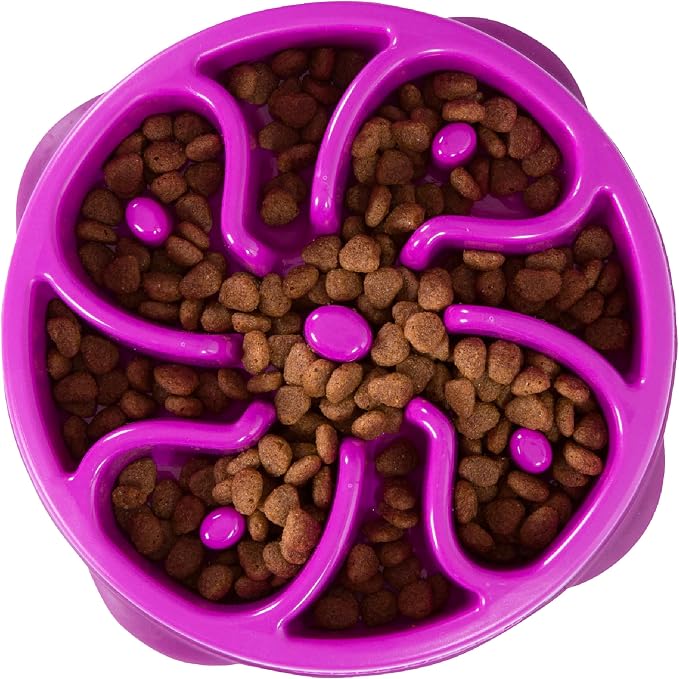 Outward Hound Fun Feeder Slo Bowl – Medium 2‑Cup Capacity, Slow Feeding, Small to Medium Dogs & Cats, Non-Slip, Purple, Flower Pattern | Slows Fast Eaters, Can Aid Digestion, Holds 2 Cups Dry or Wet Food, Non-Slip, Easy Clean, No BPA, Small to Medium D... by OutwardHound